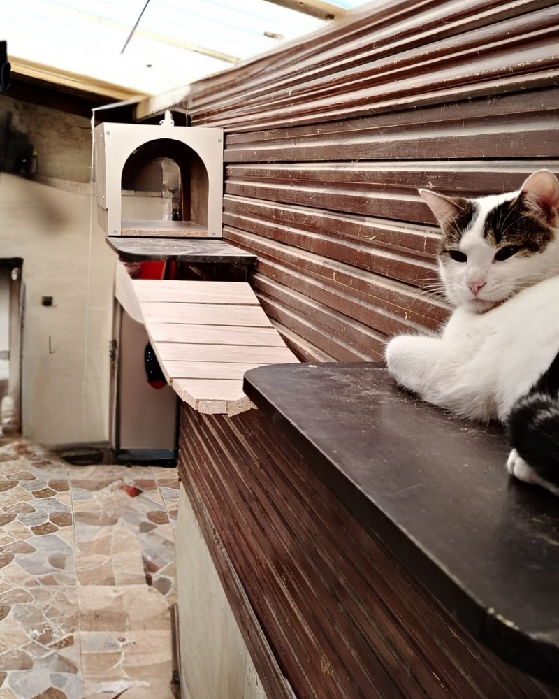 Muebles para tu mascota