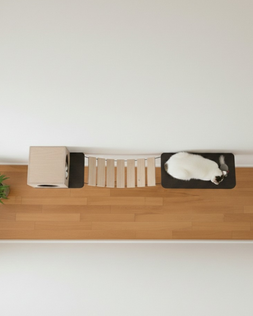 Puente colgante para gatos