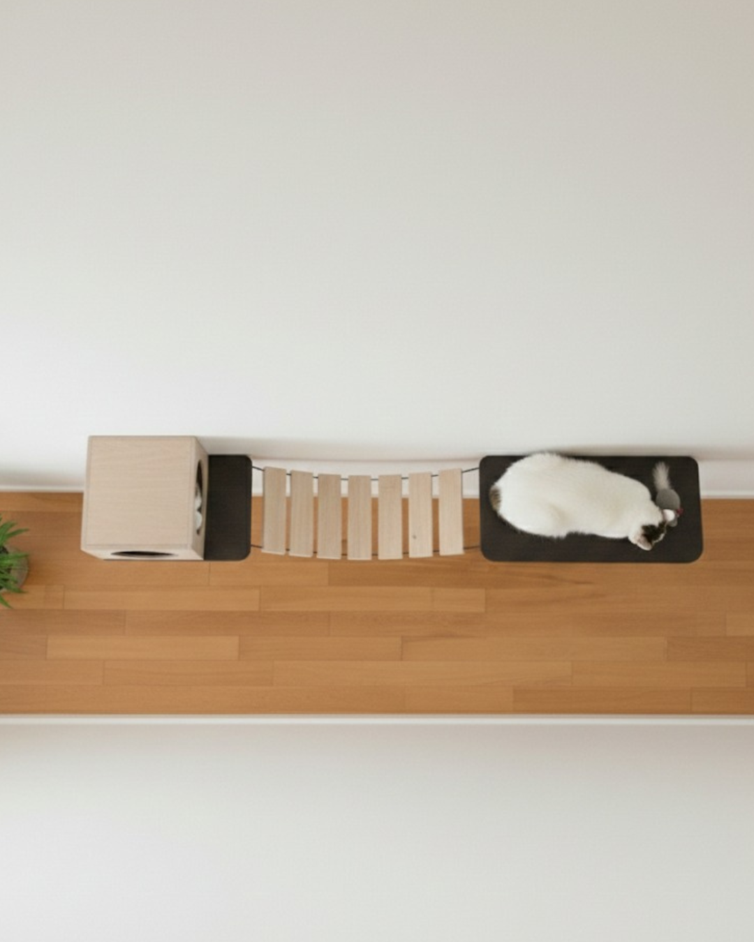 Puente colgante para gatos