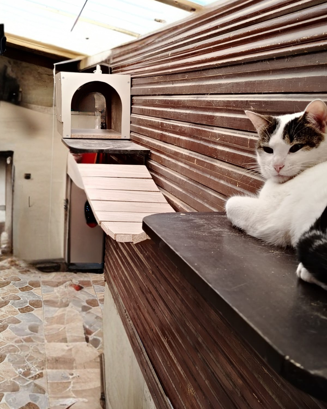 Puente colgante para gatos