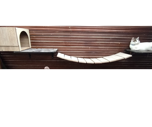 Puente colgante para gatos